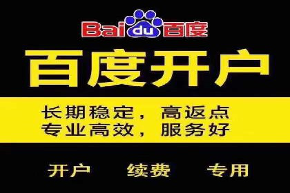 搜索引擎竞价推广实战：行业领先企业的成功秘诀